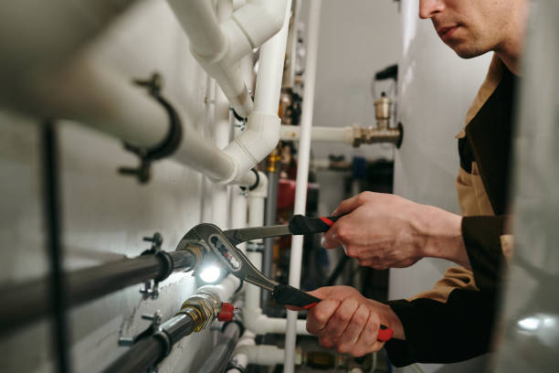 Best Local Plumber Services  in Asotin, WA